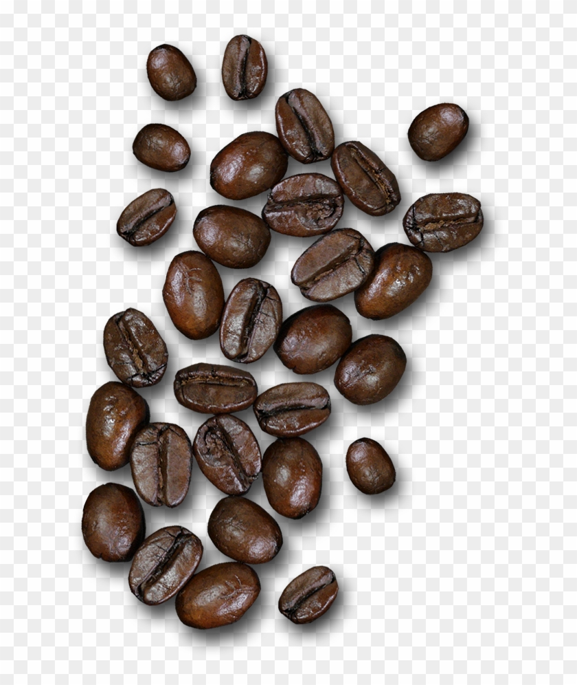 Coffee Of The Month - Seed Clipart