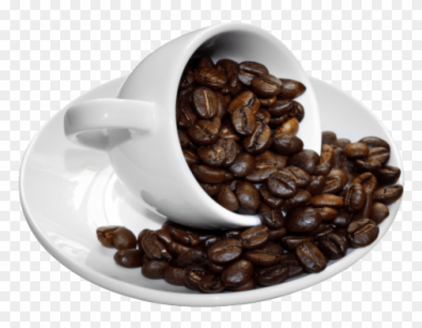 Free Png Download Coffee Beans Cup Png Images Background - Coffee Bean And Coffee Png Clipart #849218