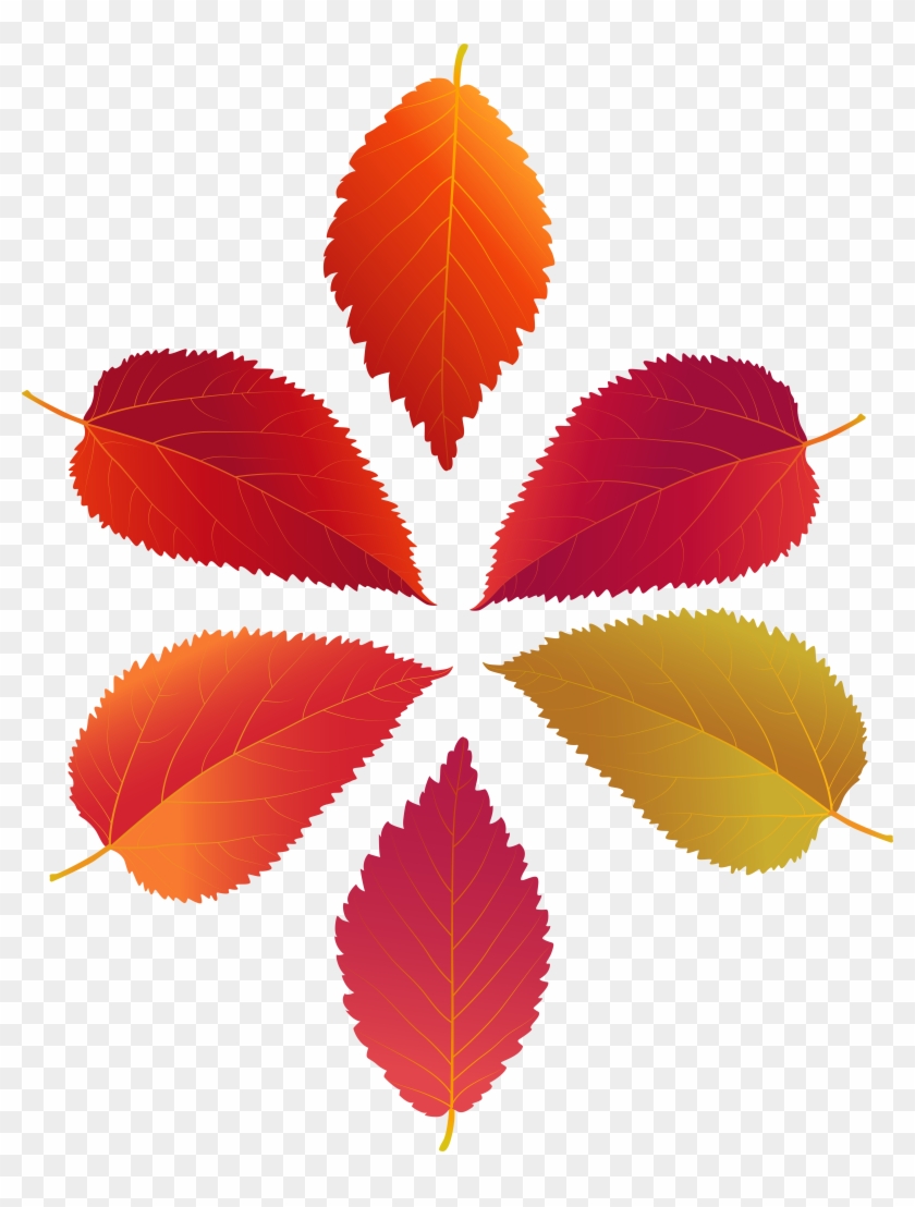 Set Of Fall Leaves Png Clip Art Transparent Png #849460