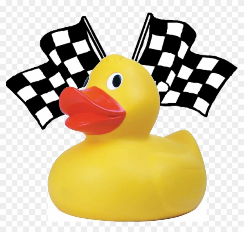 Adopt A Duck For The Family Center » Ducks - Checkered Flag Clipart #849897