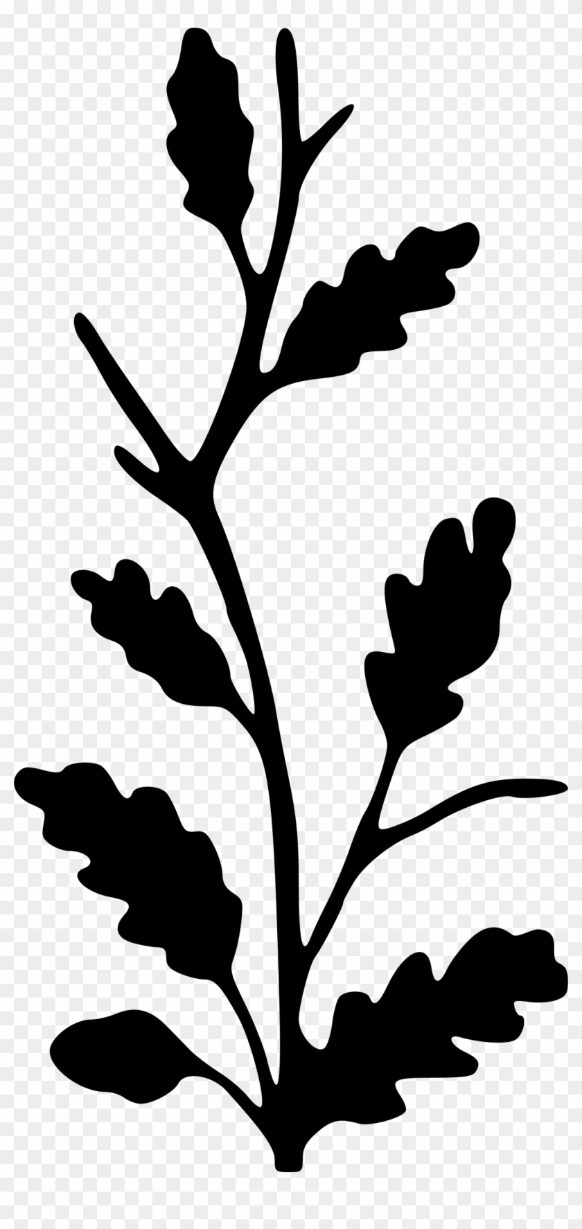 Big Image - Branch With Leaves Silhouette Svg Clipart