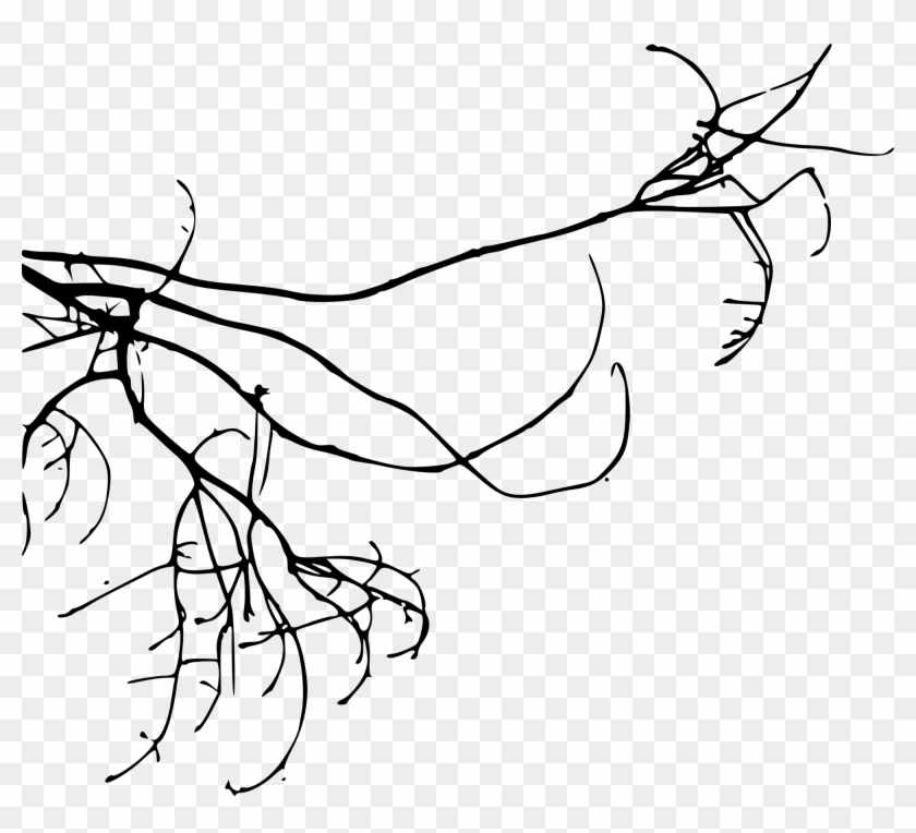 15 Simple Tree Branch Silhouettes Png Transparent - Line Art Clipart