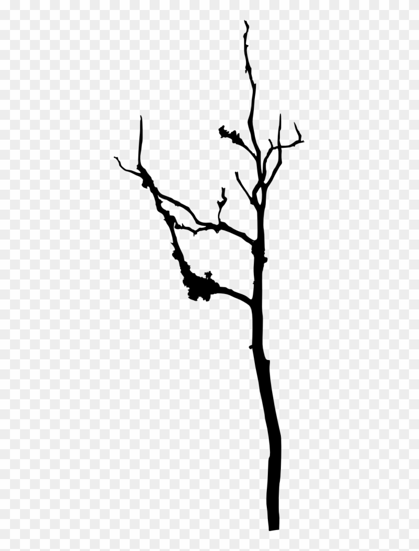 18 Bare Tree Silhouette Vol - Silhouette Clipart #850302