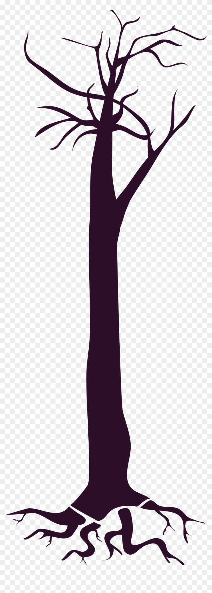 Tree Branch Clipart - Silhouette - Png Download