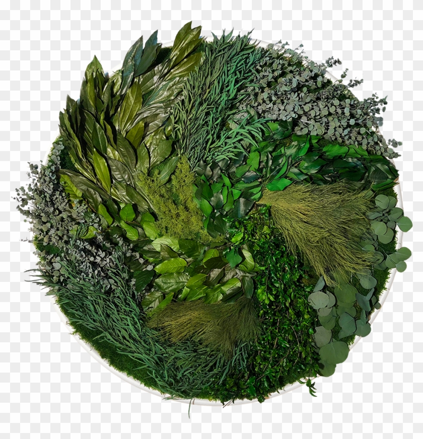 Bring The Splendour Of The Natural World Into Your - Grass Clipart