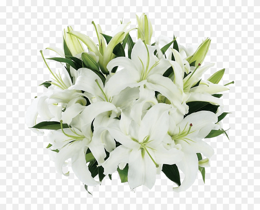 Tight Bouquet Of Lilies - Bf178 11km Clipart #850614