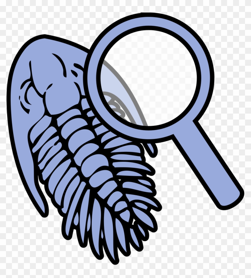 Trilobite Under Magnifying Glass Icon - Fossil Clip Art - Png Download