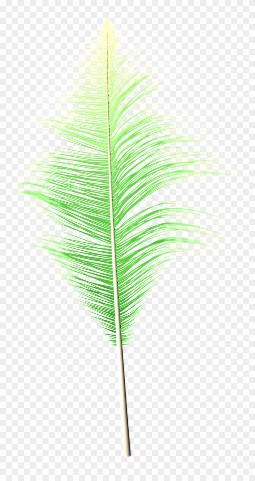 Fantasy Transparent Feather Png - Grass Clipart #851556