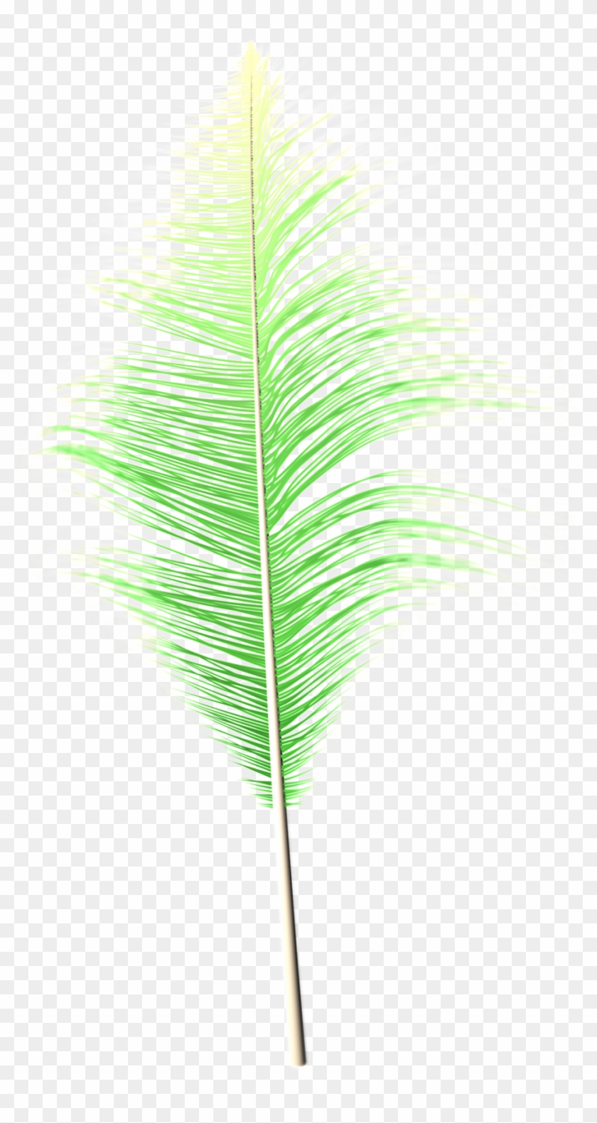 Fantasy Transparent Feather Png - Grass Clipart