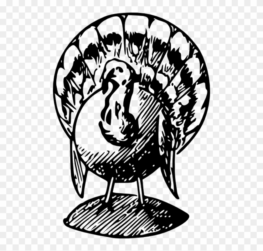 Svg Transparent Happy Thanksgiving With Harvest Fruits - Turkey Black And White Clipart - Png Download