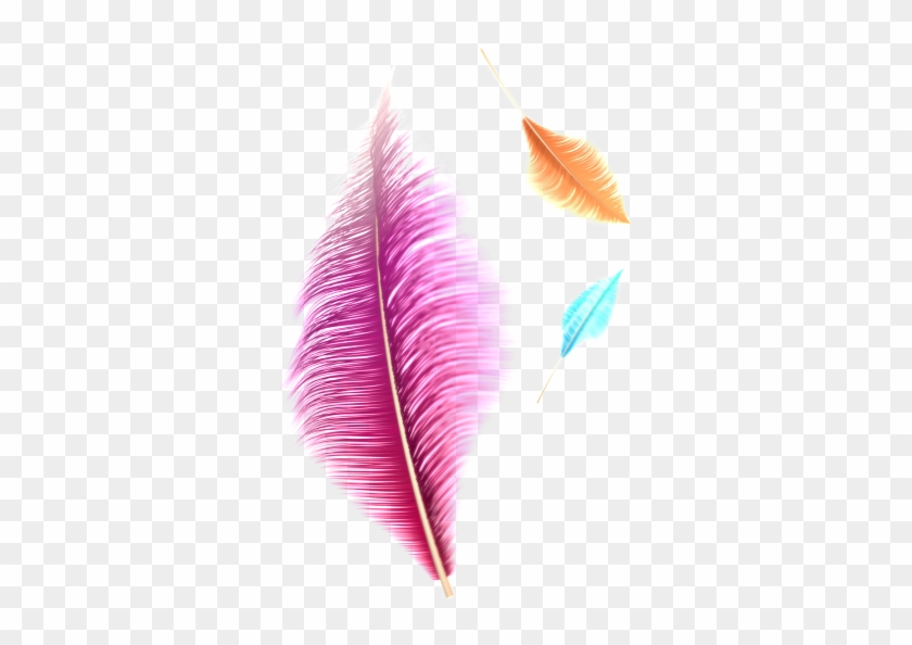 Fantasy Transparent Feather Png - Earrings Clipart #852064