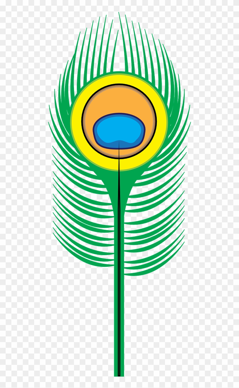 Peacock Vector Graphics,free Pictures, - Peacock Feather Clip Art - Png Download
