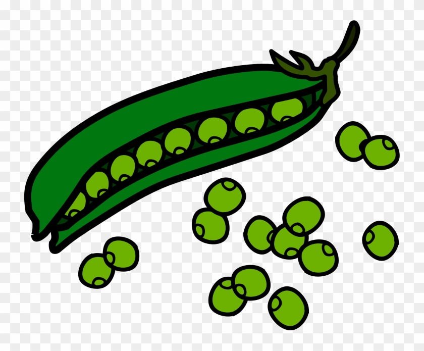 String Bean Clipart U0026lt - Peas Clipart - Png Download (#852095) - PikPng