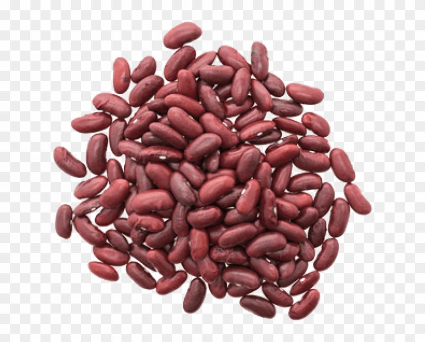 Free Png Download Kidney Beans Png Images Background - Haricot Kidney Clipart