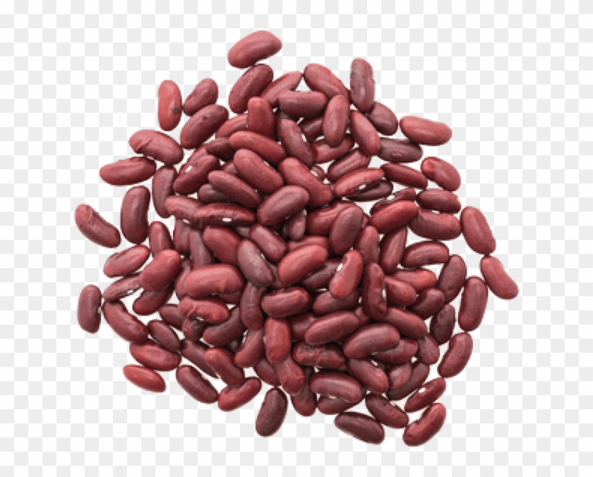 Free Png Download Kidney Beans Png Images Background - Haricot Kidney Clipart #852177