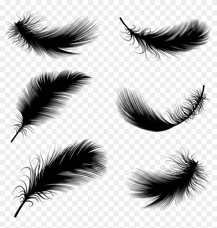 2083 X 2083 18 0 - Floating Feather Drawing Clipart #852385