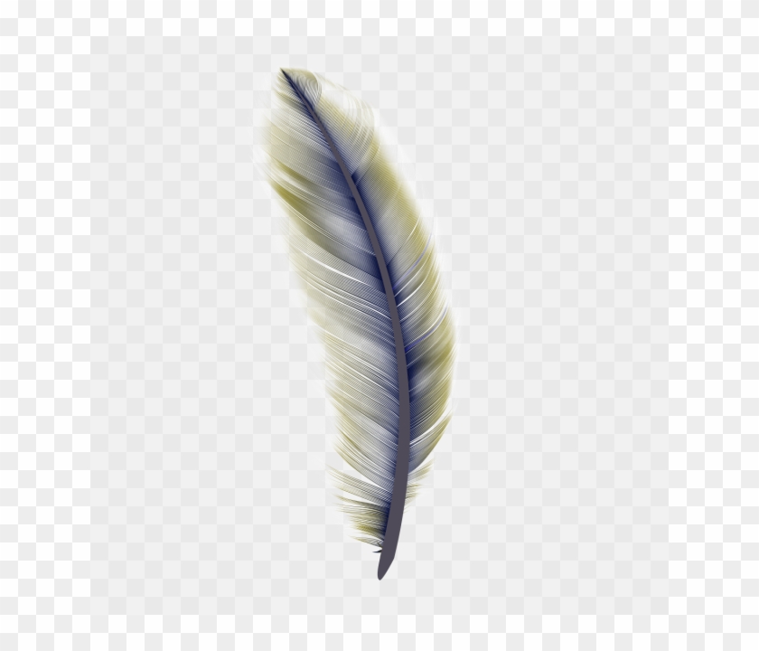 Royalty Free Stock Png Bird Leaf Feathers Falling Image - Macro Photography Clipart