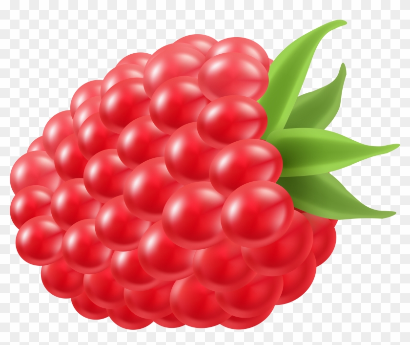 Raspberry Png Clip Art Image - Raspberries Fruit Clipart Transparent Png