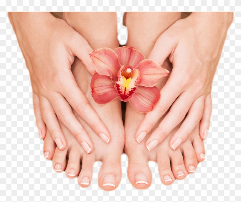 Manicure And Pedicure Nail Clipart #852766