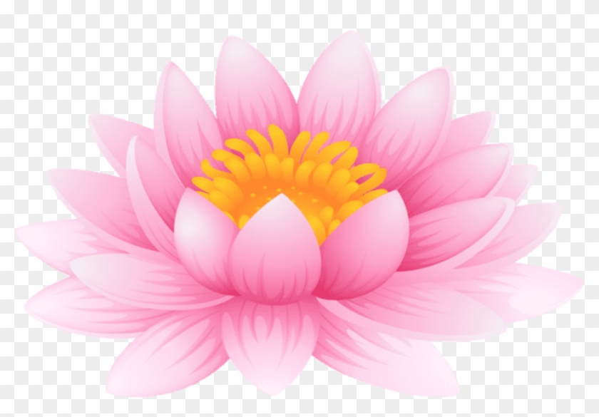 Free Png Water Lily Png Images Transparent - Portable Network Graphics Clipart #852770