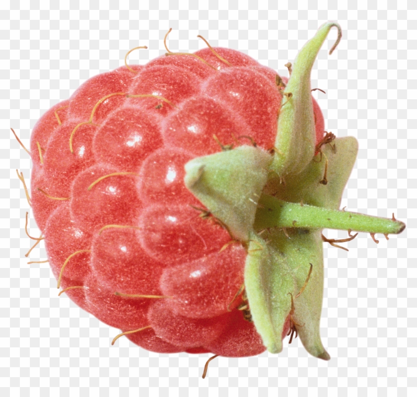 Rraspberry Png Image - Raspberry Clipart #852802