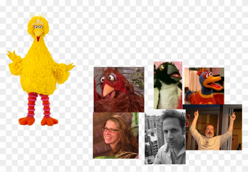 Free Png Download Big Bird And Tweety Bird Png Images Clipart #852839