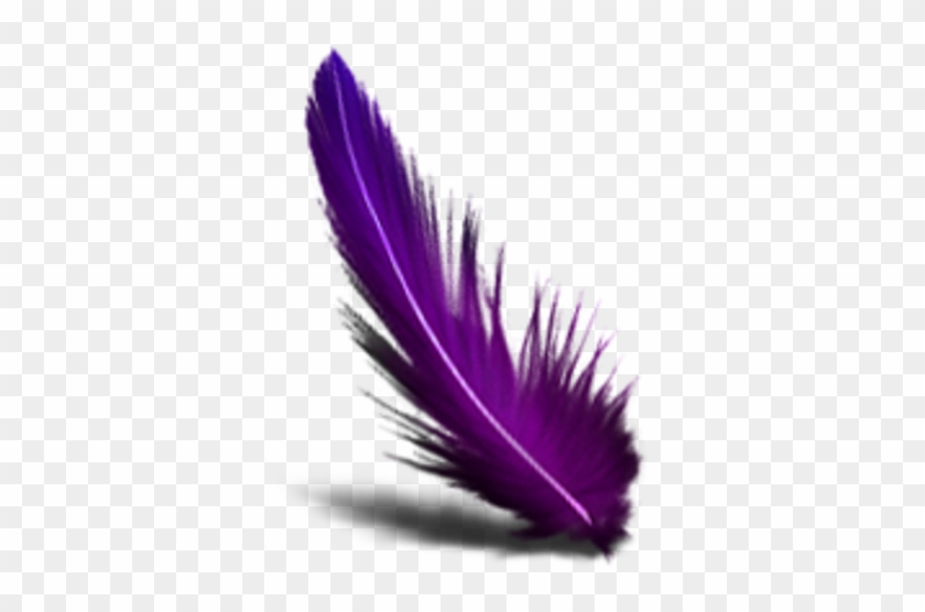 Purple Feather Transparent Background Clipart #852845