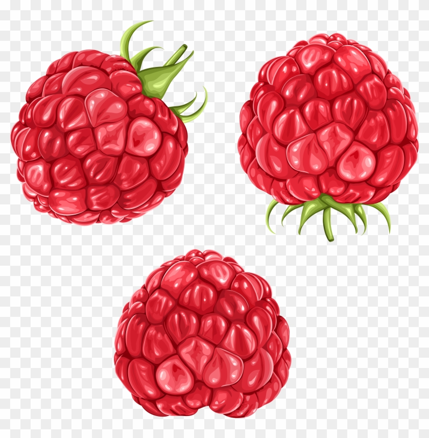 Raspberries Png Clipart Picture - Raspberry Clipart Transparent #852849