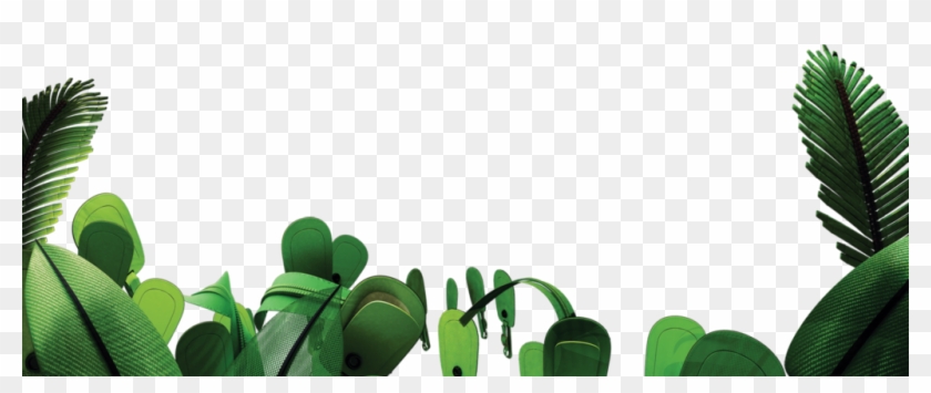 Jungle Png Picture - Jungle Png Clipart #852972