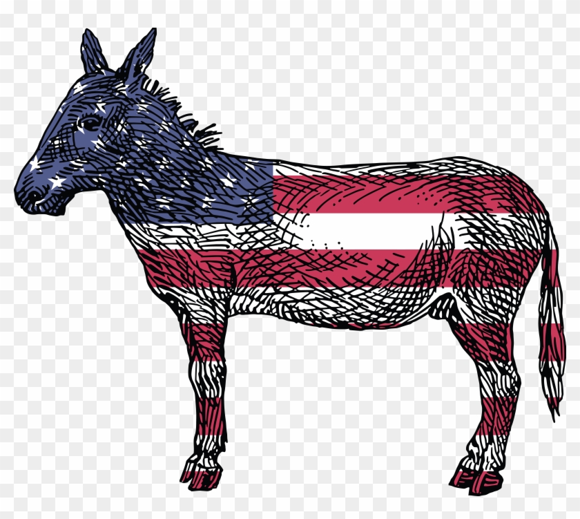 Free Clipart Of A Democratic Donkey - Reasons To Vote For A Democrate Book - Png Download #853122