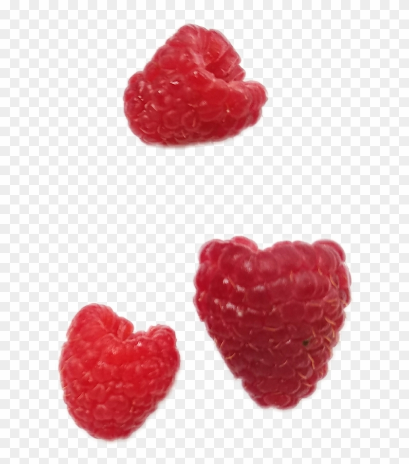 Raspberries Raspberry Png Aestheticpng Nichememe Nichep - Wine Raspberry Clipart #853603