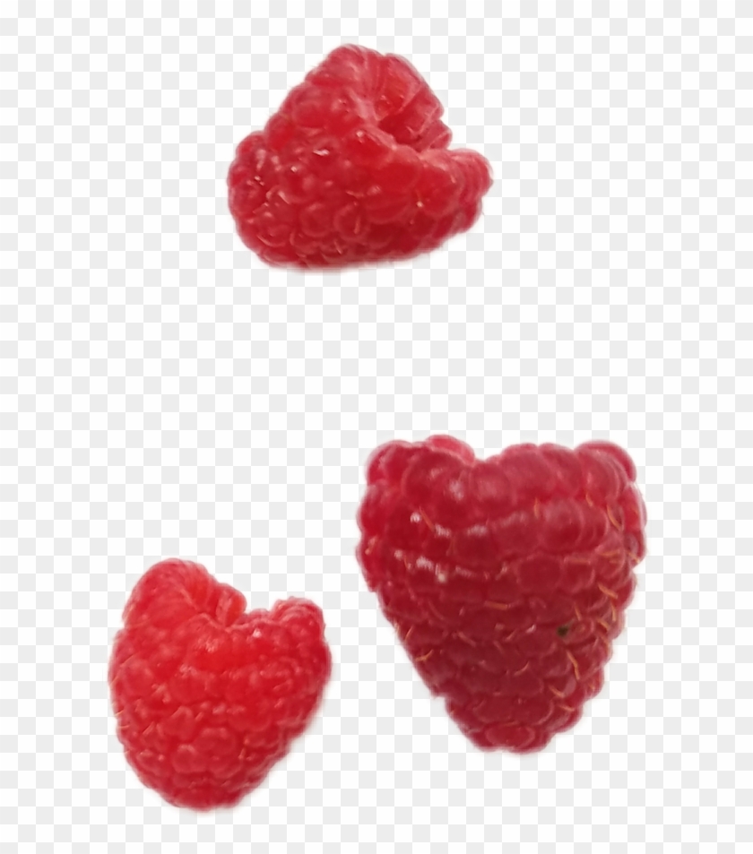 Raspberries Raspberry Png Aestheticpng Nichememe Nichep - Wine Raspberry Clipart