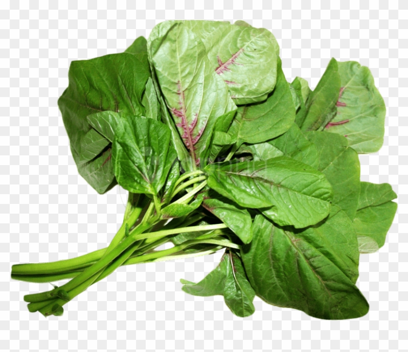 Amaranth Leaves - Amaranth Leaves Png Clipart #853788