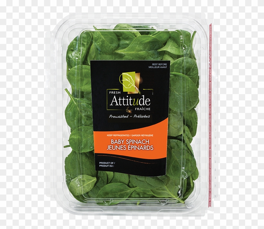 Attitude Spinach Clipart #854106