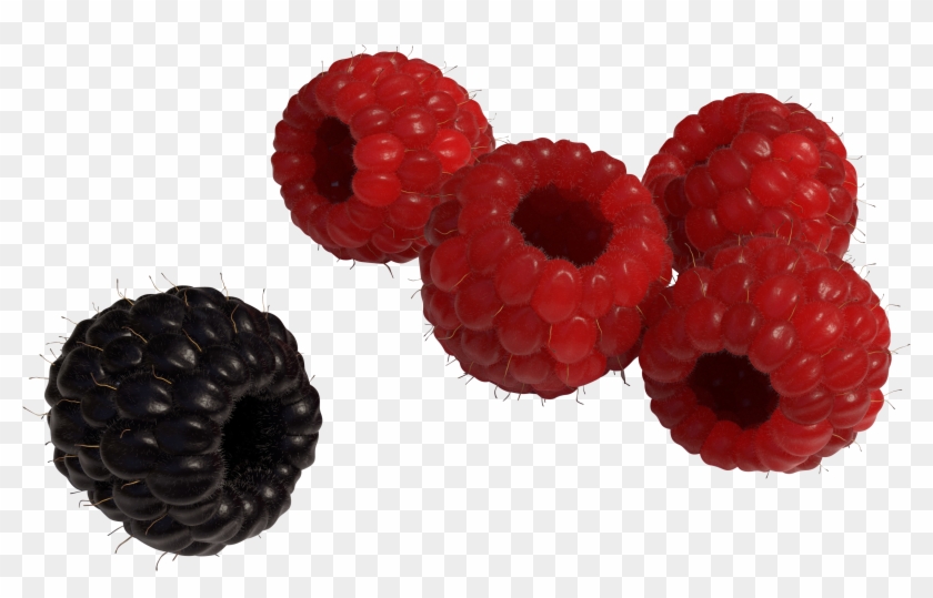 Red And Black Raspberry Png Image Clipart #854321