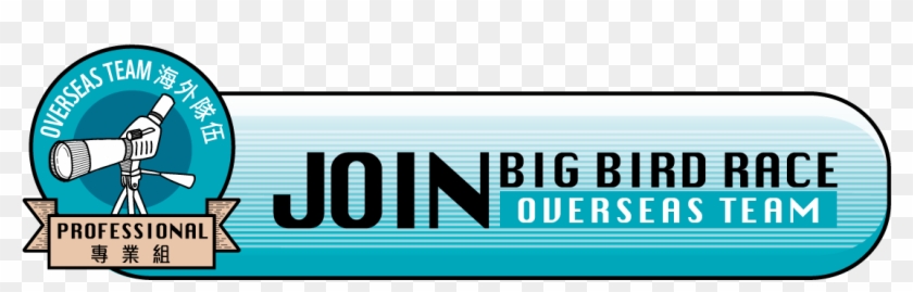 The Big Bird Race - Parallel Clipart