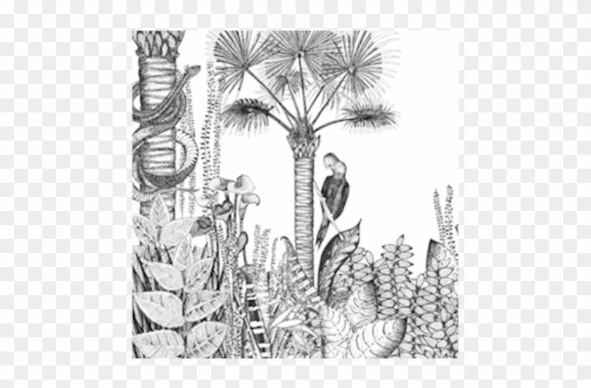 Wallpaper Jungle - Papier Peint Jungle Noir Et Blanc Clipart #854436