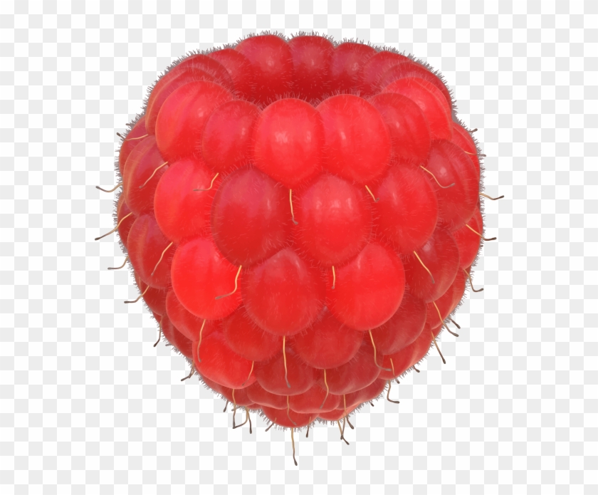 Raspberries - Wine Raspberry Clipart #854454