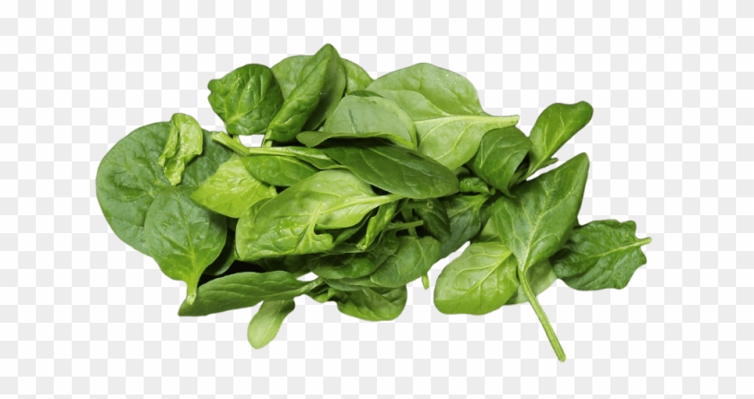 1 Bag - Spinach Clipart