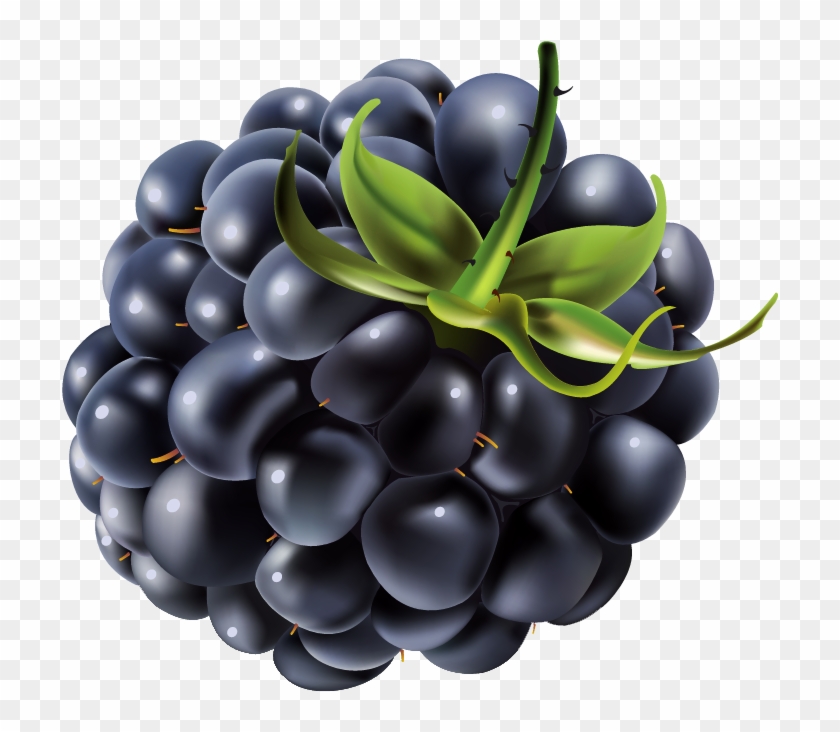 792 X 707 1 - Blackberry Clipart Png Transparent Png #855123