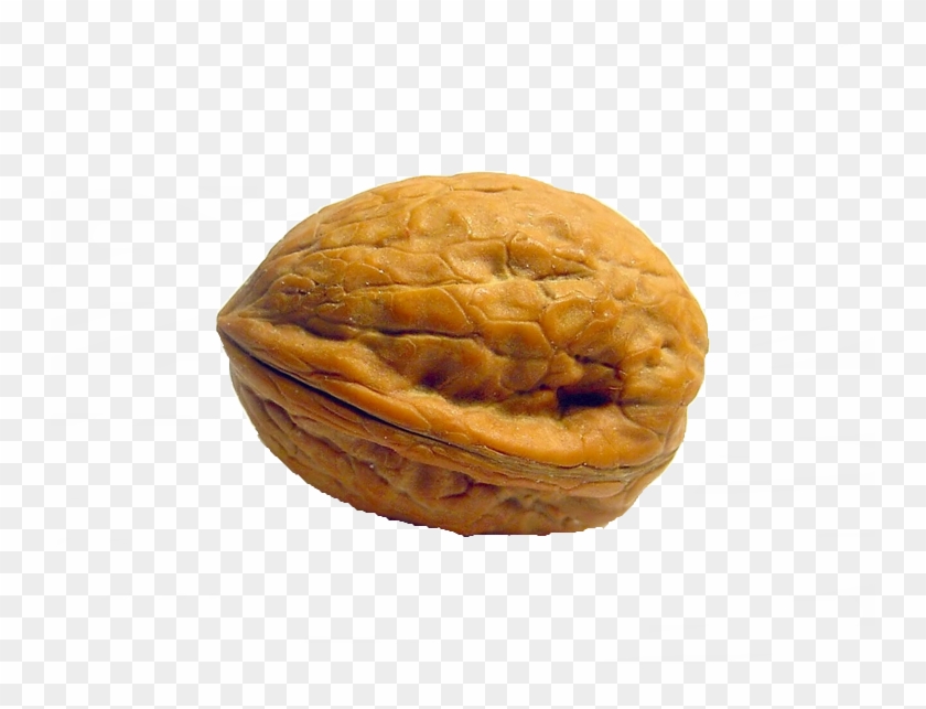 Walnut - Walnut In A Shell Clipart