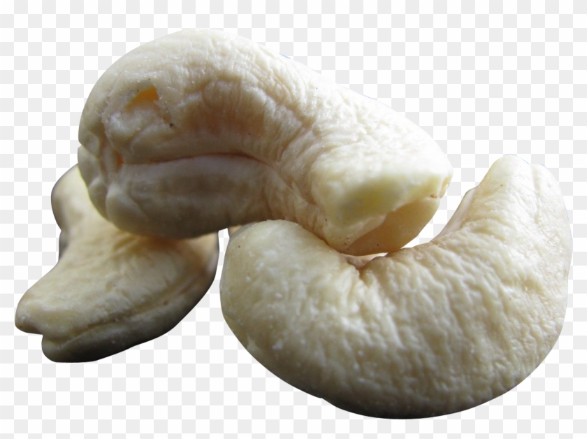 Download Cashew Nut Png Transparent Image - Agaricus Clipart #856179