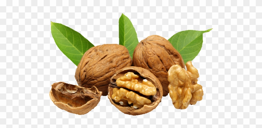Walnut Png - Fernor Ceviz Clipart