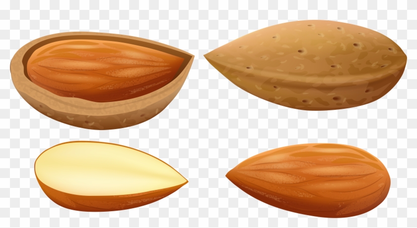 Almonds Png Clip Art Transparent Png #856247