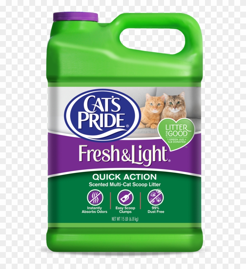 Cat's Pride - Domestic Short-haired Cat Clipart #858279