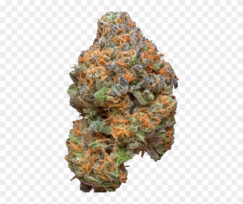 Tryna Smoke Weedslys - Nug Of Weed Transparent Background Clipart