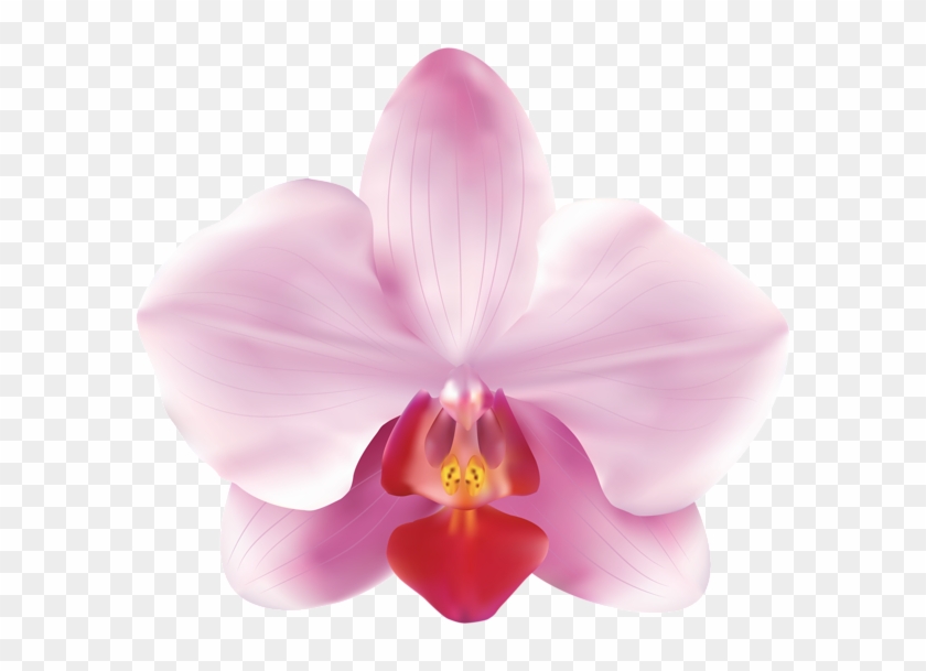 Pink Orchids Png Clip Art Image - Pink Orchids Png Transparent Png #860742
