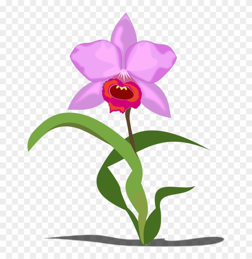 Free To Use &, Public Domain Orchid Flower Clip Art - Orchid Flower Clipart - Png Download