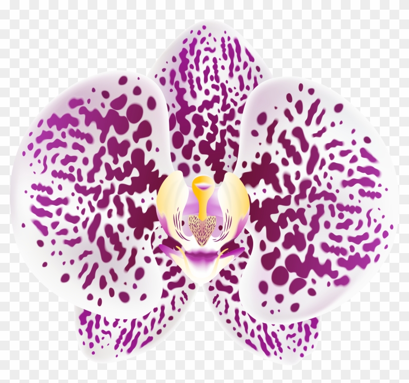 Tropical Orchid Transparent Png Clip Art Image - Moth Orchid