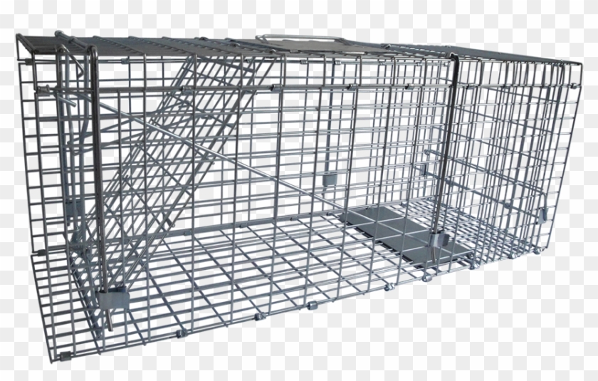 מלכודת חתולים Clipart